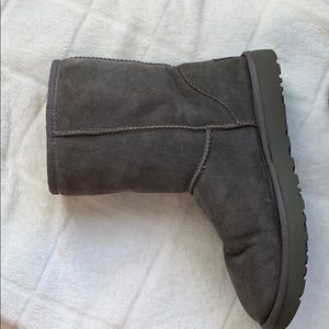 Short grey uggs